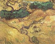 Vincent Van Gogh Field with Two Rabbits (nn04) France oil painting reproduction